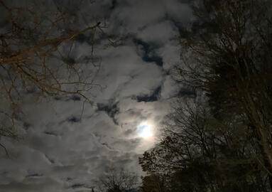 Spooky picture of the moon i took